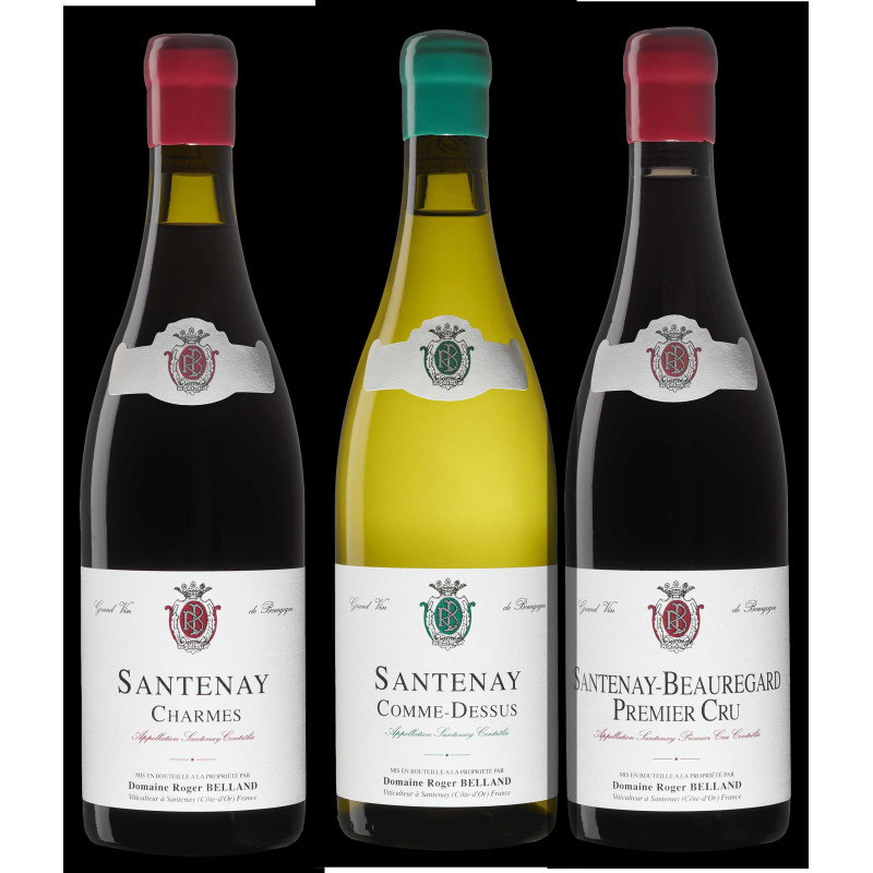 Wine tasting without purchase (3 wines, refundable with any purchase of 300 Euros or more)
