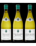"DISCOVERY" TASTING WITHOUT PURCHASE (refundable with any purchase of 700 Euros or more)