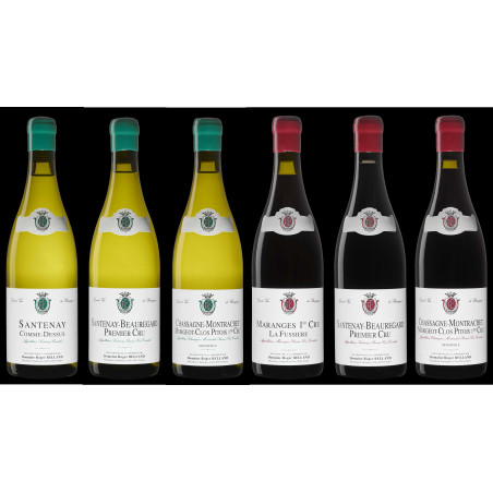 "DISCOVERY" TASTING WITHOUT PURCHASE (refundable with any purchase of 700 Euros or more)