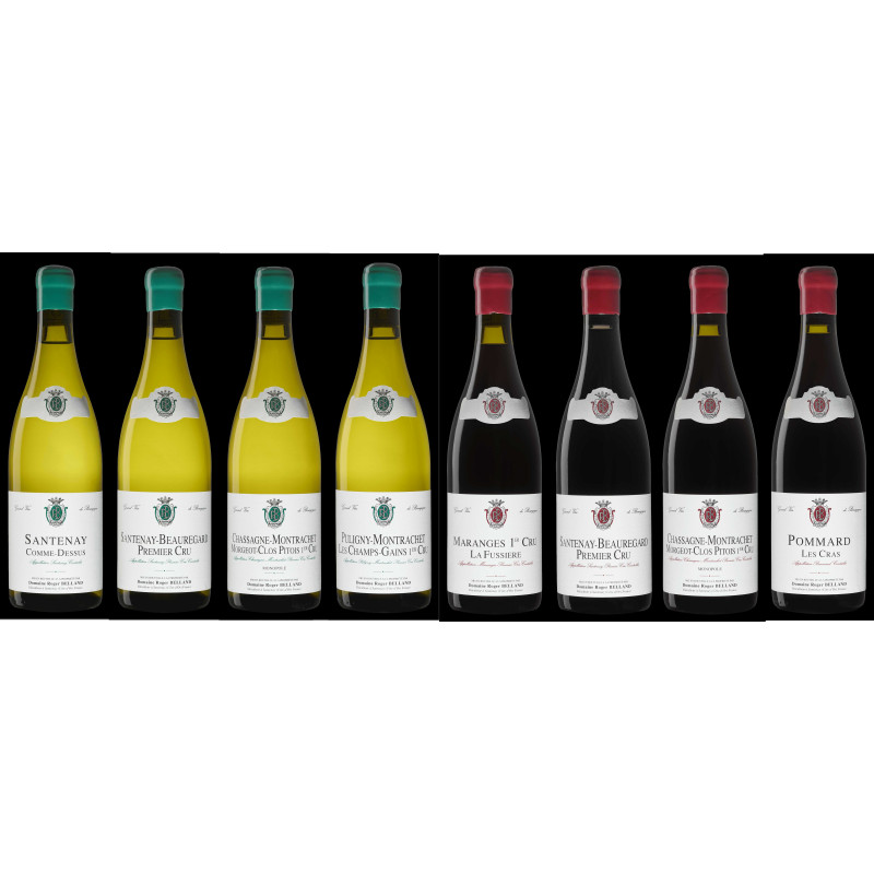 "AMATEUR" TASTING WITHOUT PURCHASE (refundable for any purchase of 900 Euros or more)